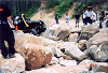 050514RCnara100_thumb.png