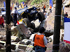 2006EX06051336_thumb.png