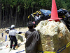 2006EX06051356_thumb.png