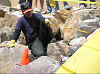 P1010041_thumb.png